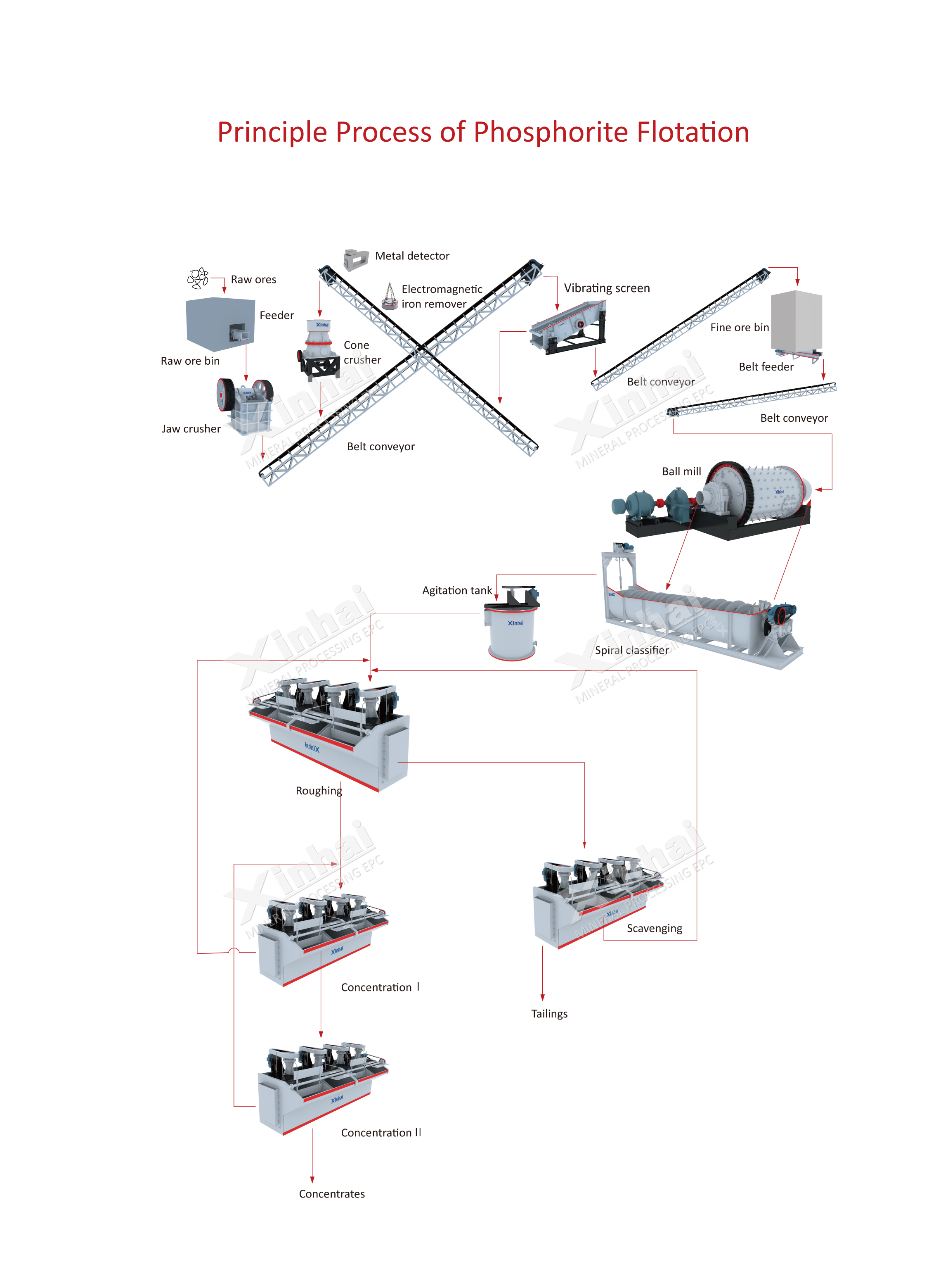 Principle Process of Phosphate Flotation.jpg
